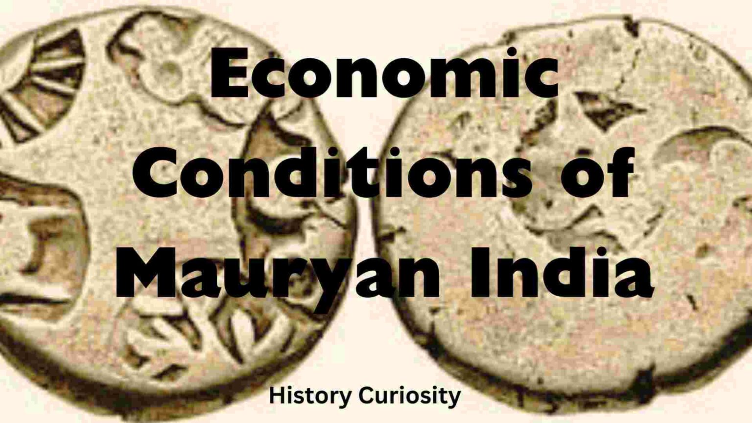 Economic Conditions of Mauryan India - History Curiosity